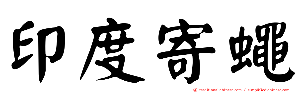 印度寄蠅