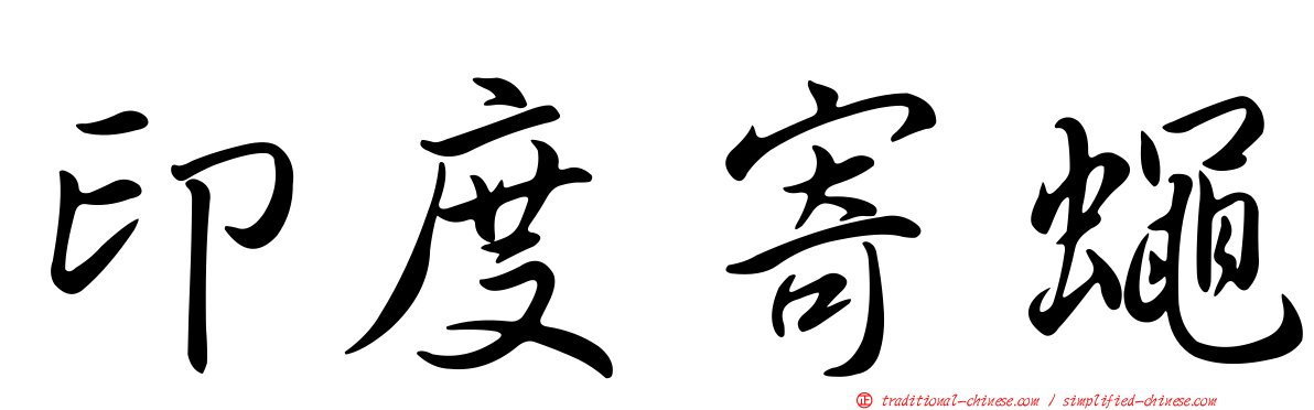 印度寄蠅