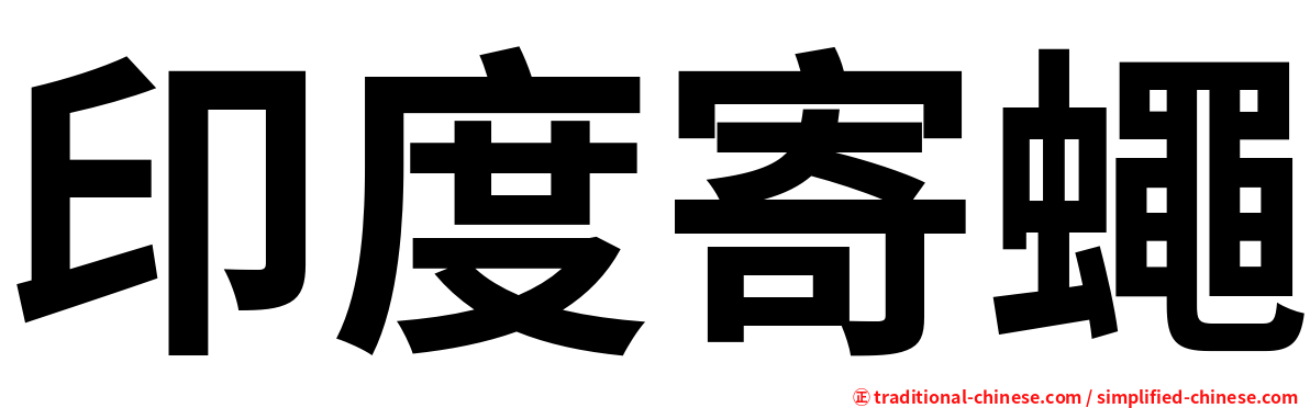 印度寄蠅