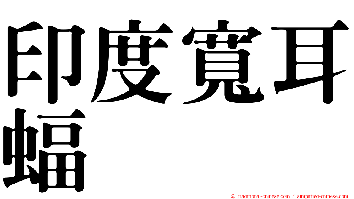 印度寬耳蝠