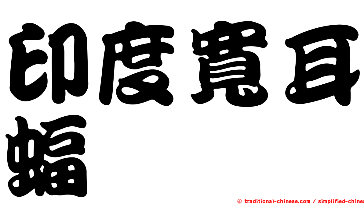 印度寬耳蝠