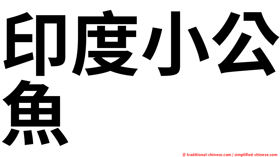 印度小公魚