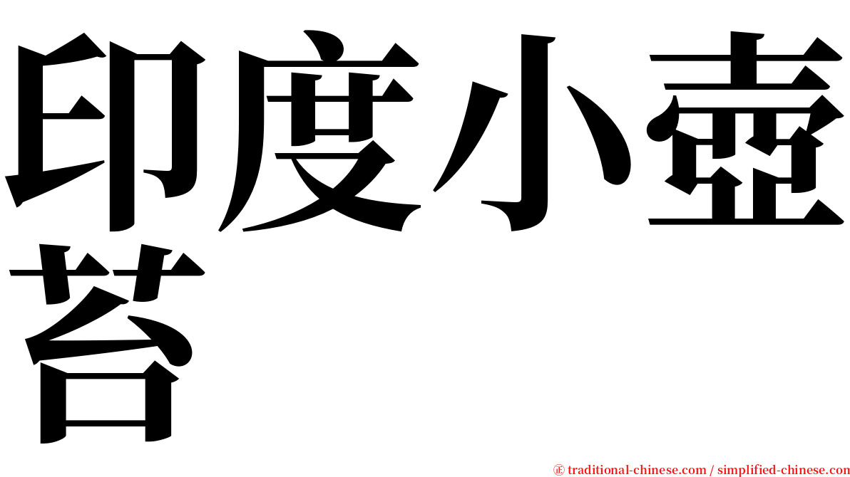 印度小壺苔 serif font