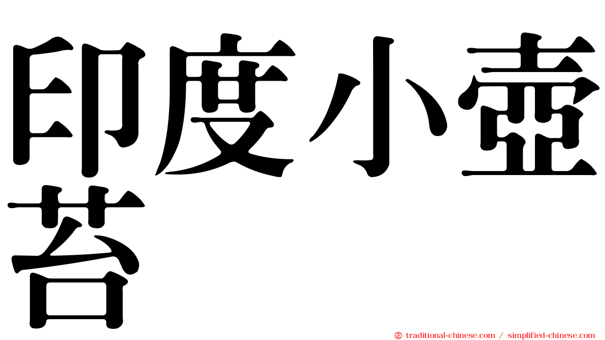 印度小壺苔