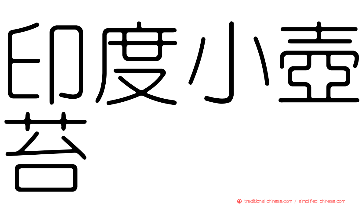 印度小壺苔