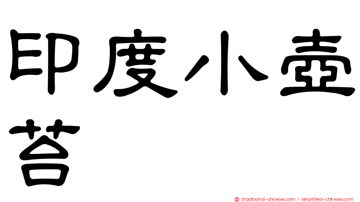印度小壺苔