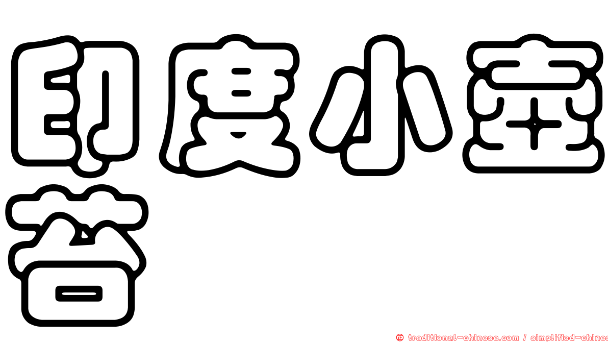 印度小壺苔