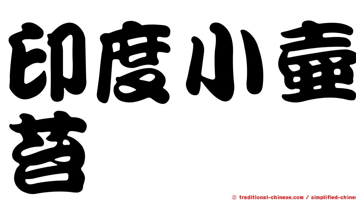 印度小壺苔