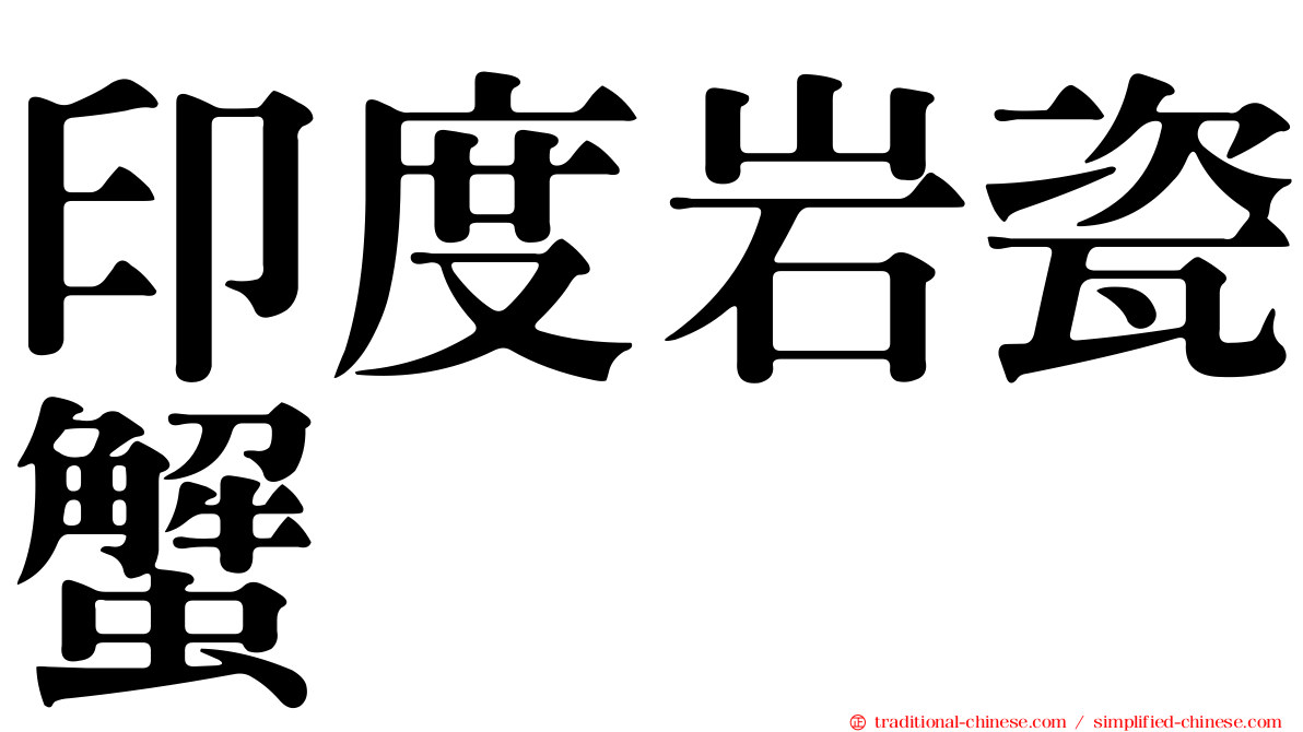 印度岩瓷蟹