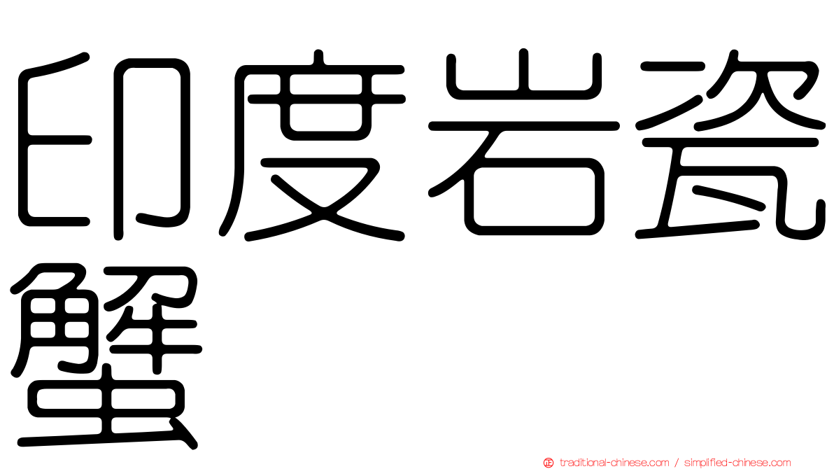 印度岩瓷蟹