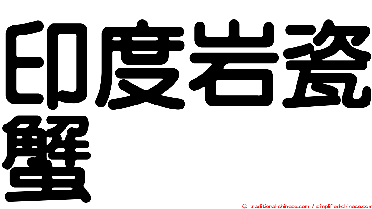 印度岩瓷蟹