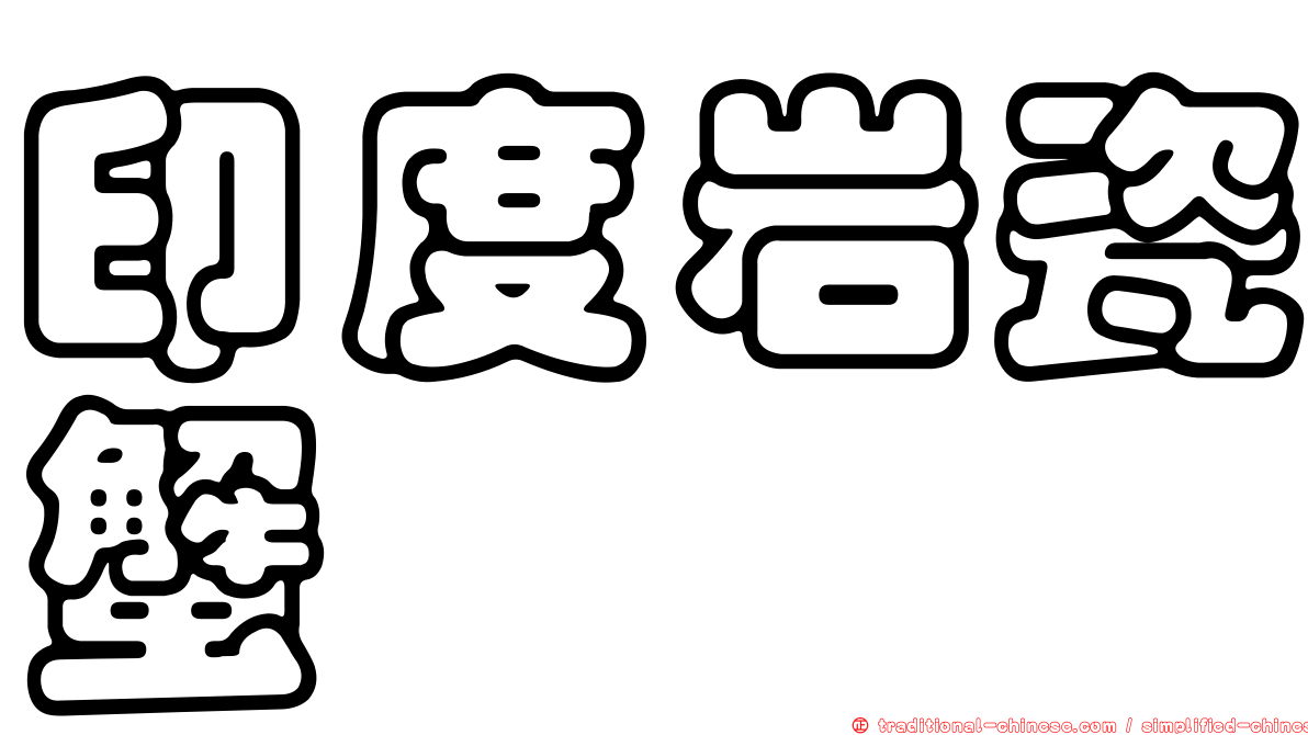 印度岩瓷蟹