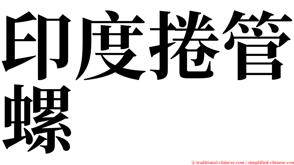 印度捲管螺 serif font