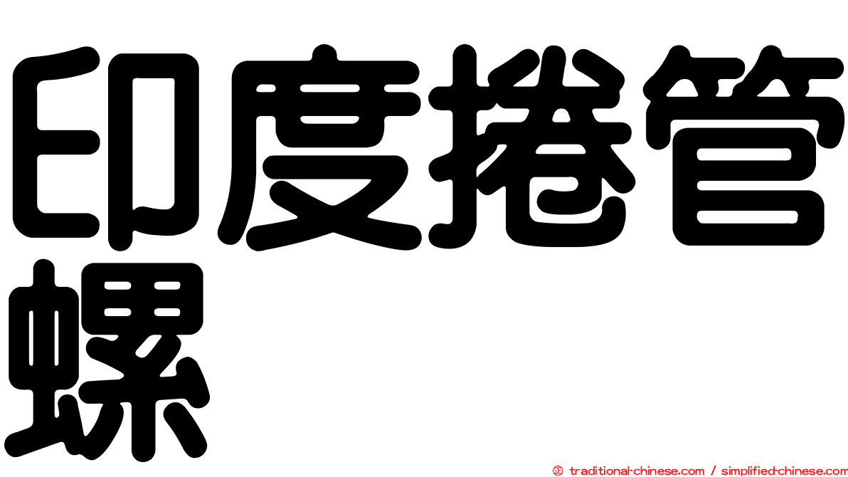 印度捲管螺