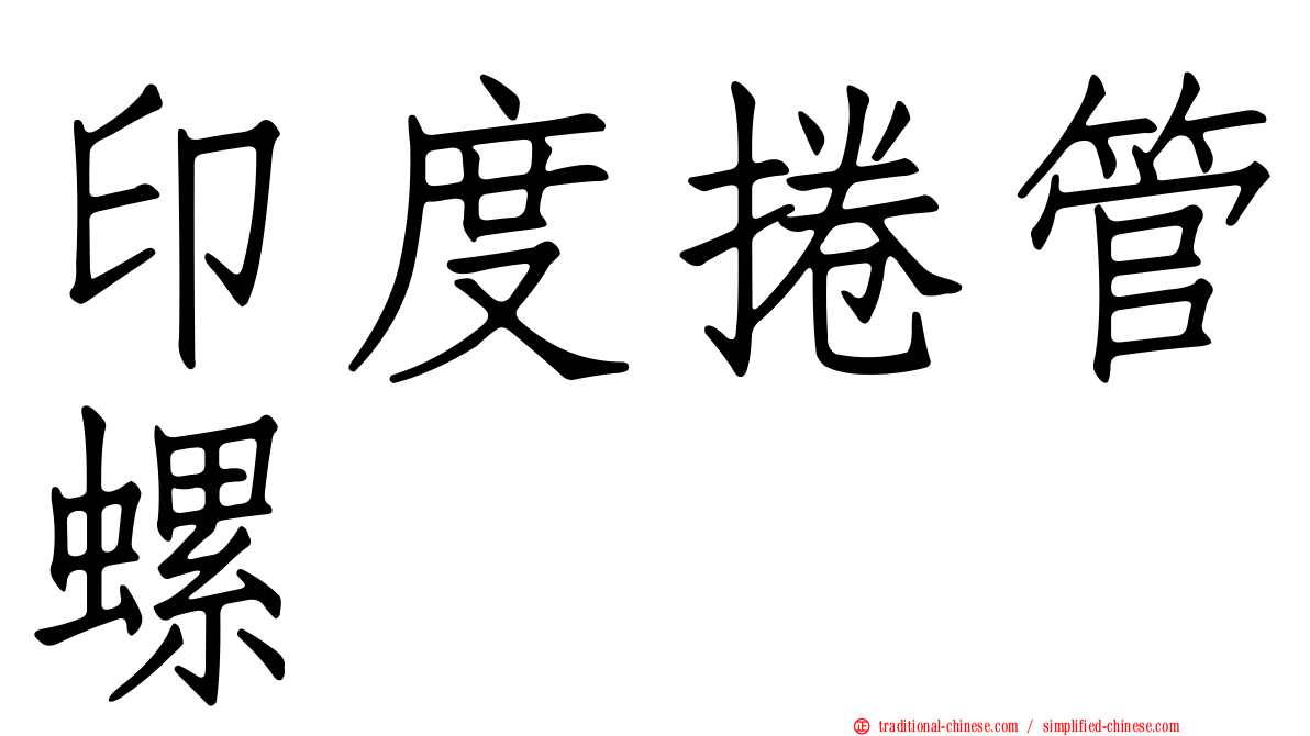 印度捲管螺