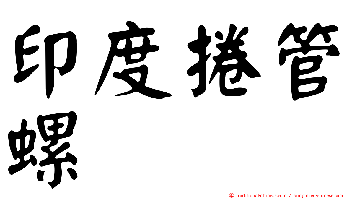 印度捲管螺