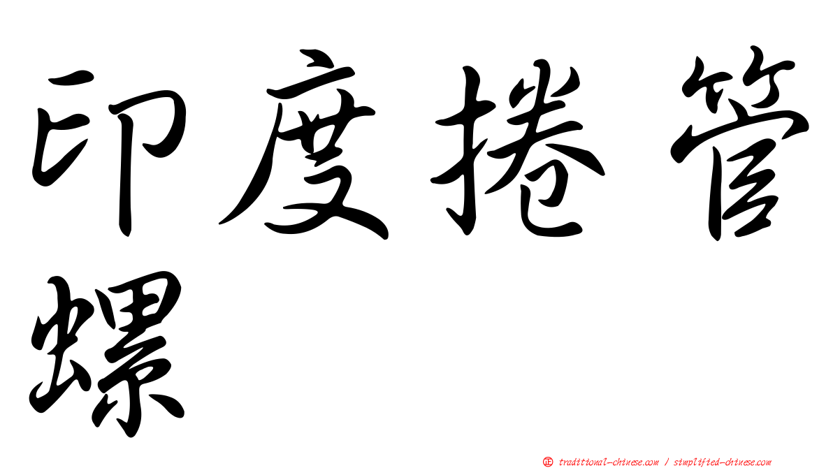 印度捲管螺