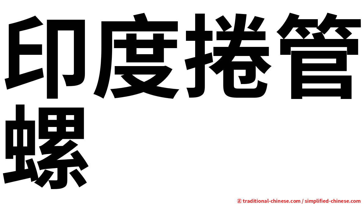 印度捲管螺