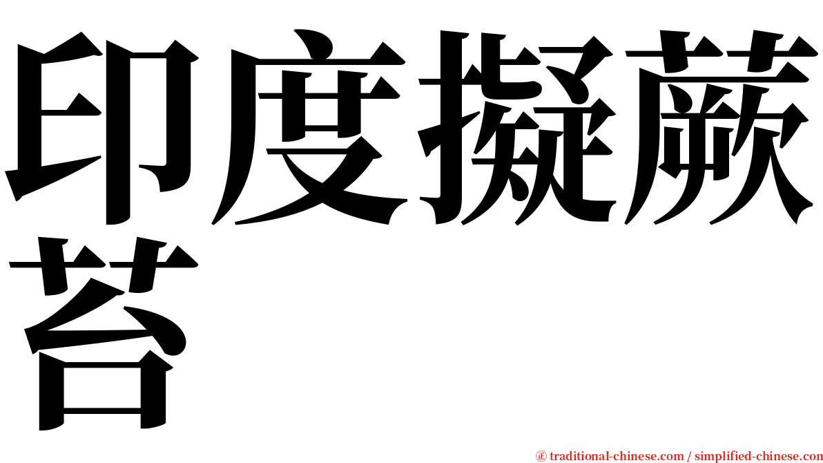 印度擬蕨苔 serif font