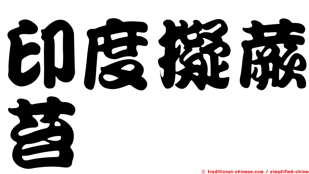 印度擬蕨苔