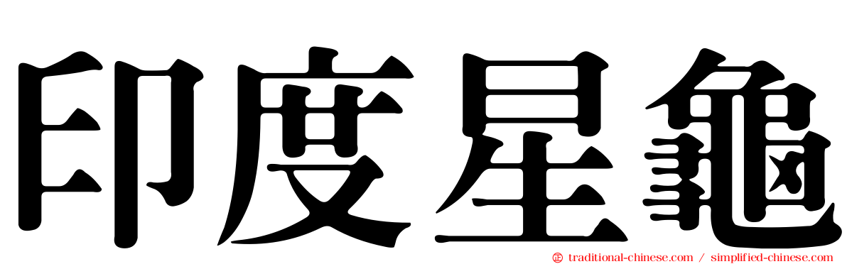 印度星龜