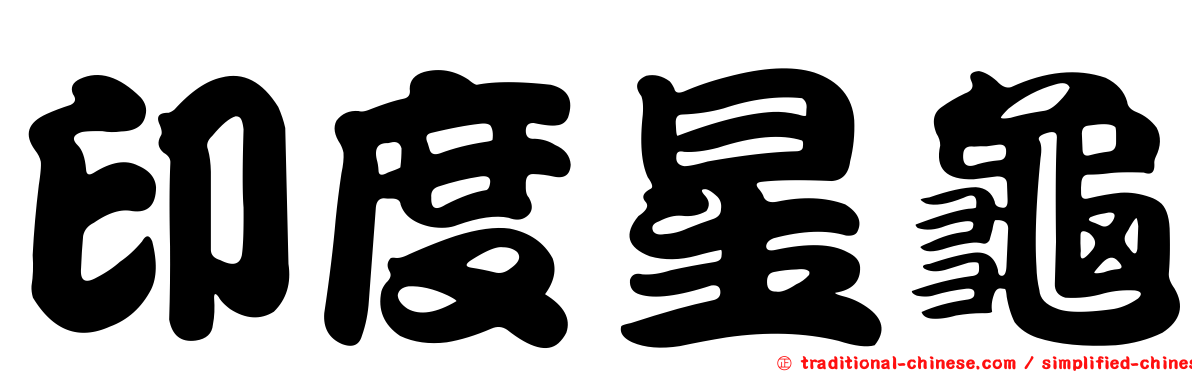 印度星龜