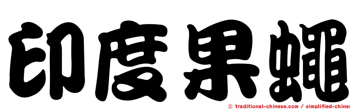 印度果蠅