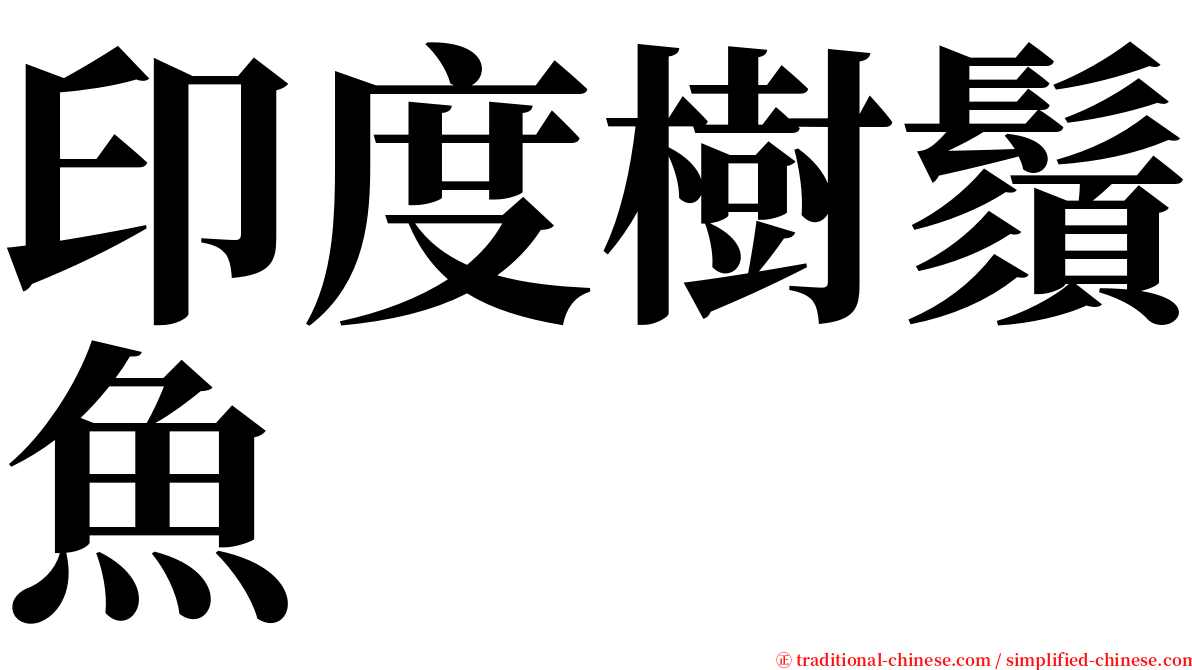 印度樹鬚魚 serif font
