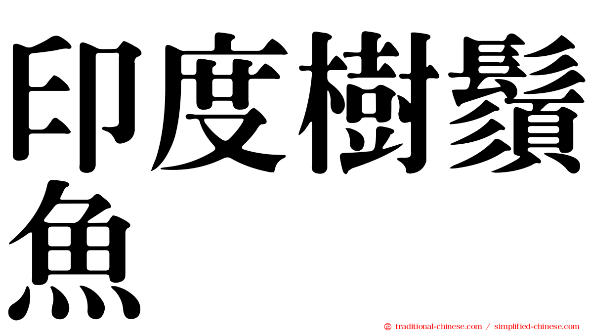 印度樹鬚魚