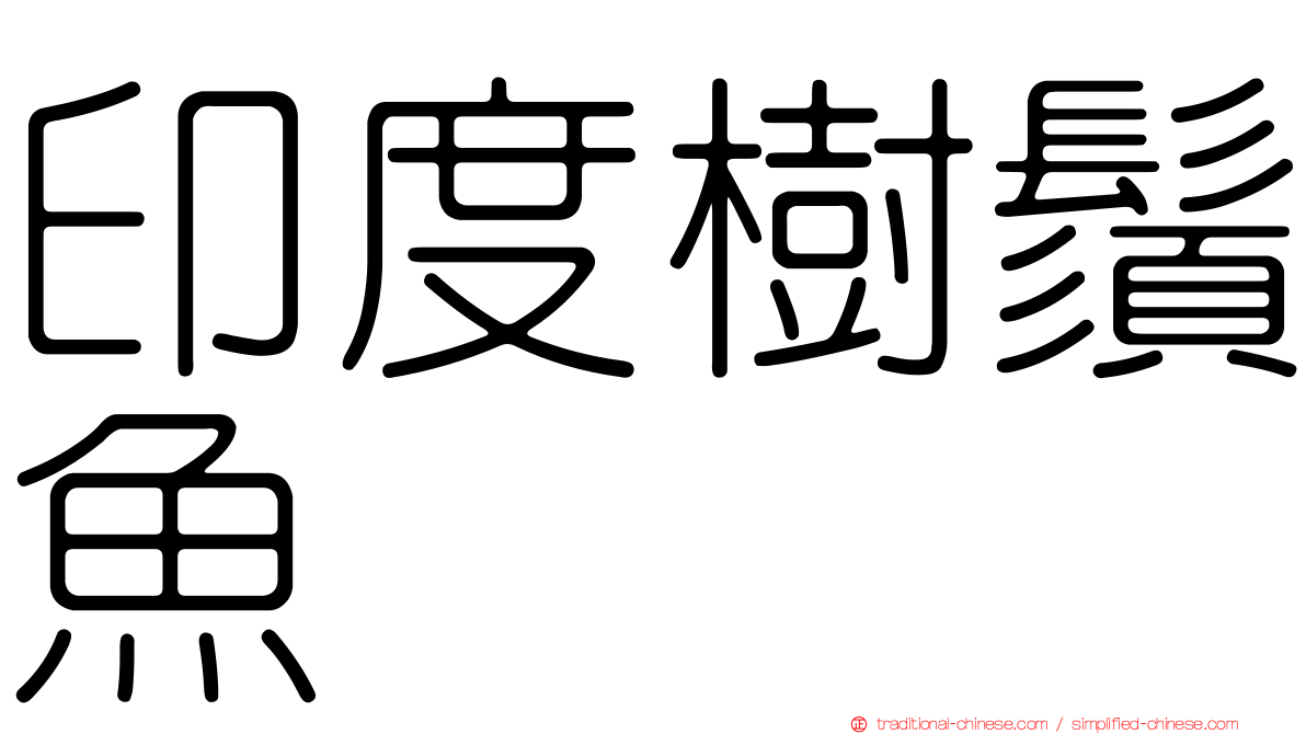 印度樹鬚魚