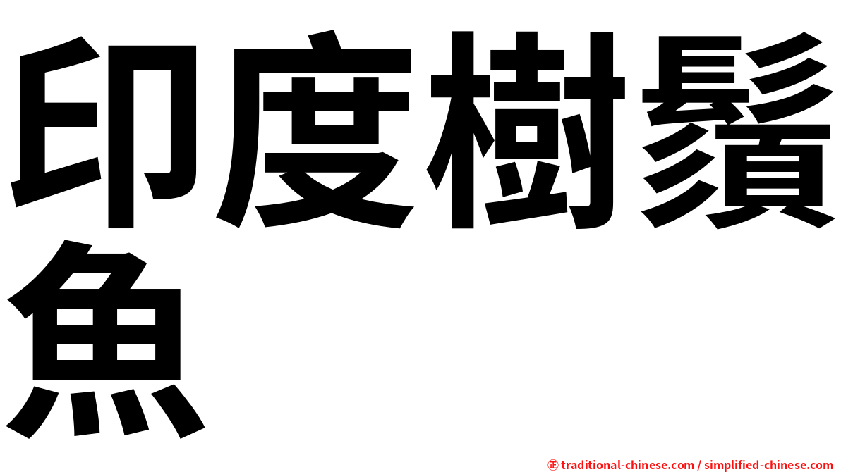 印度樹鬚魚