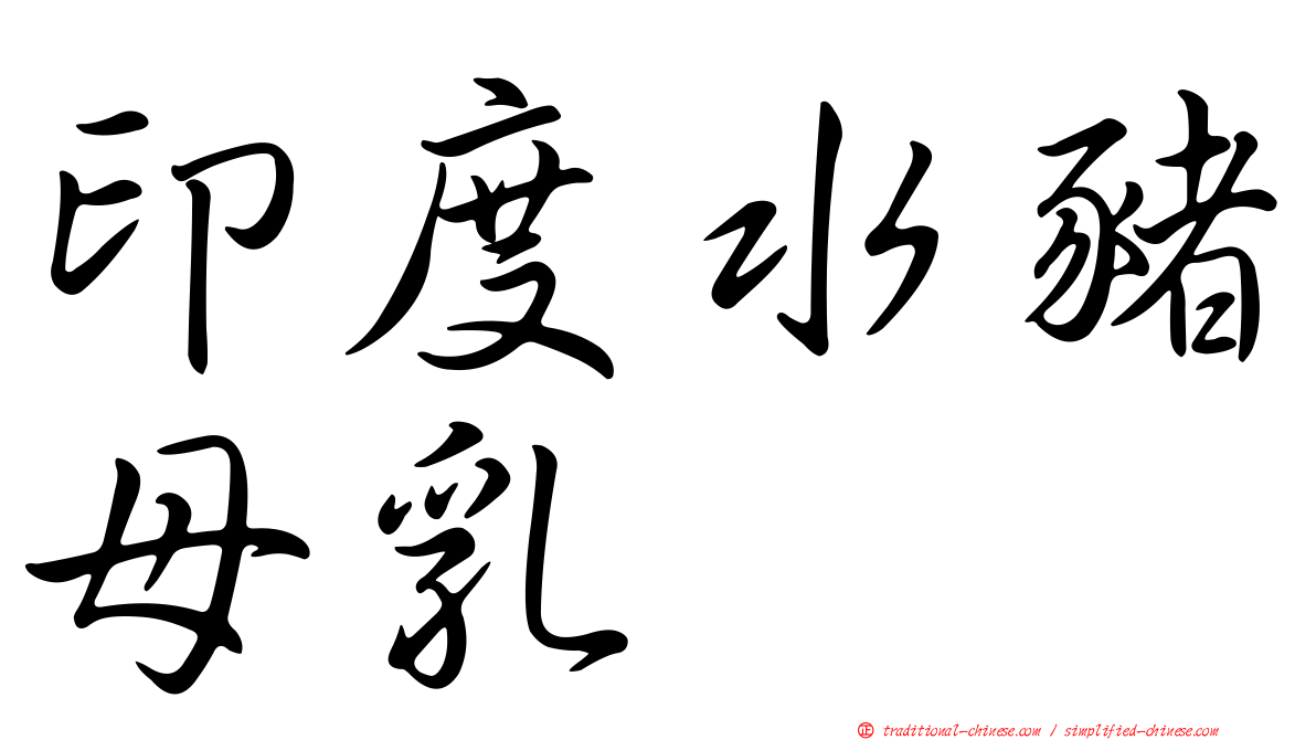 印度水豬母乳