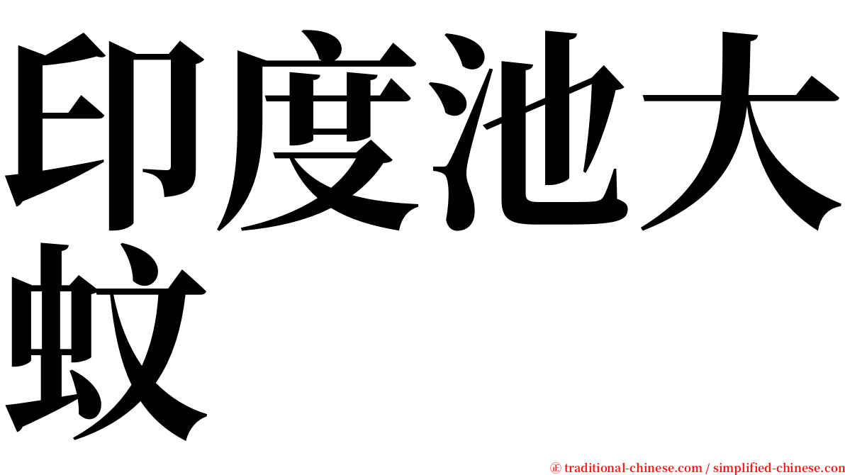 印度池大蚊 serif font