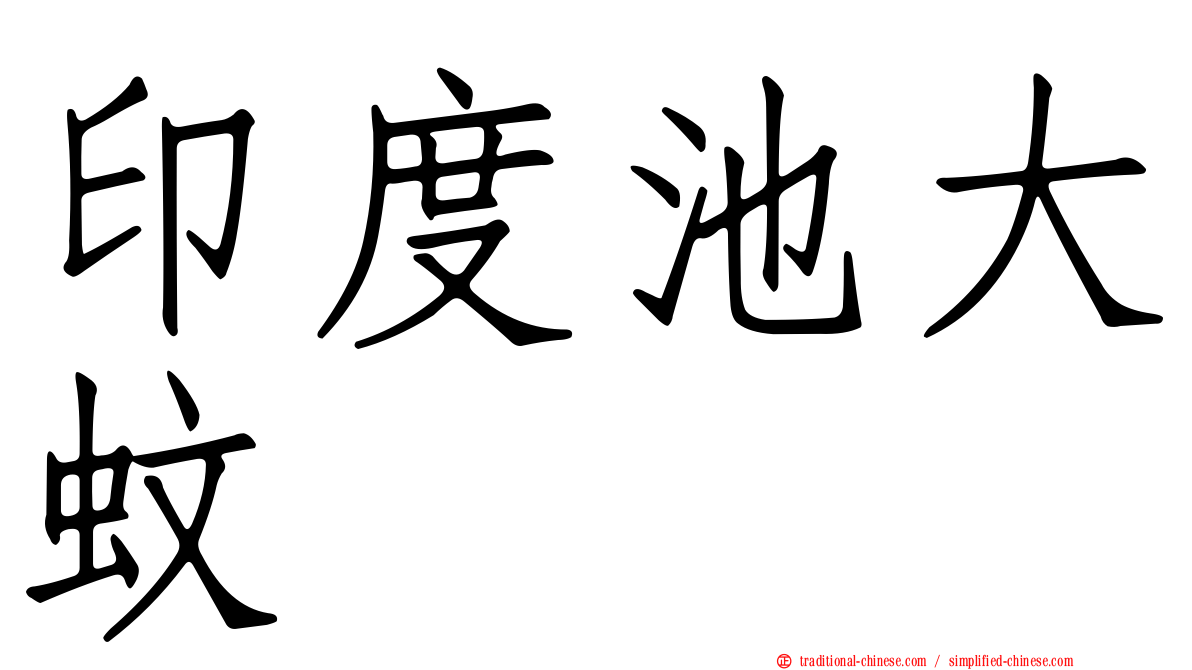 印度池大蚊