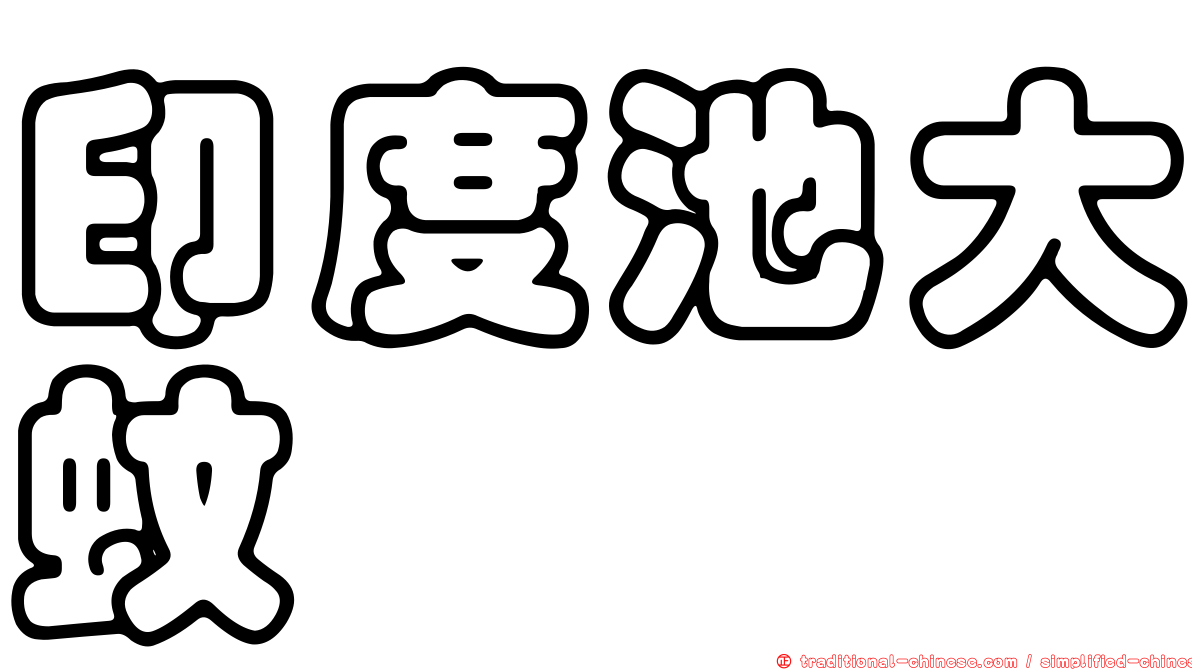 印度池大蚊