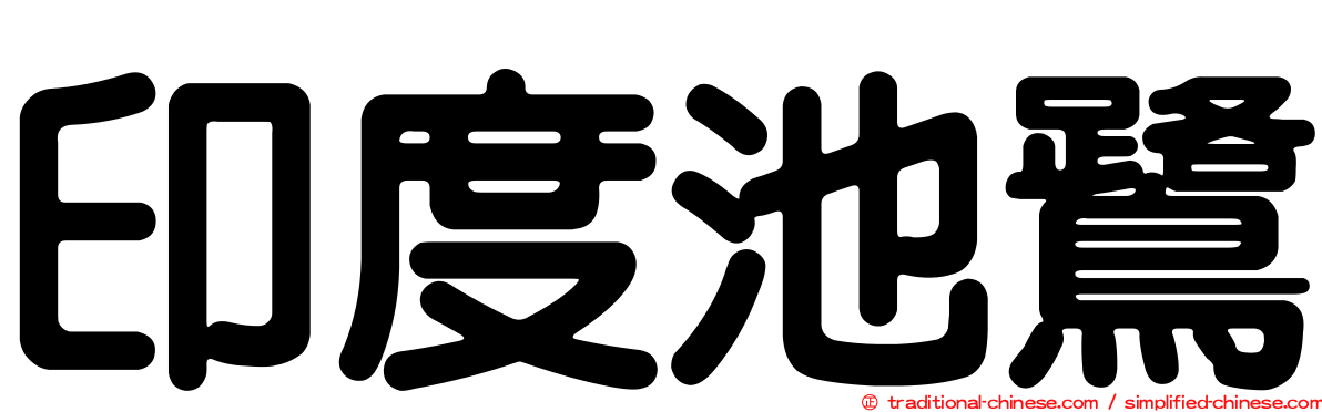 印度池鷺