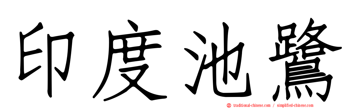 印度池鷺