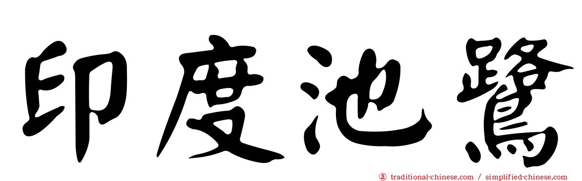 印度池鷺