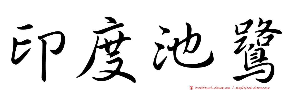 印度池鷺