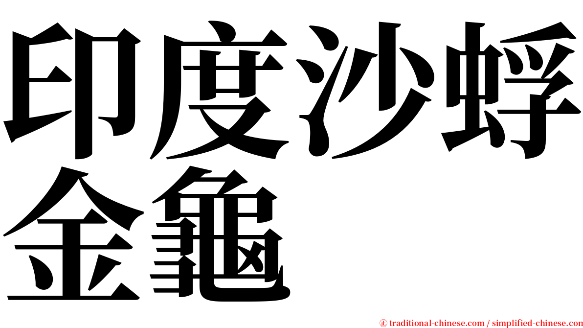 印度沙蜉金龜 serif font