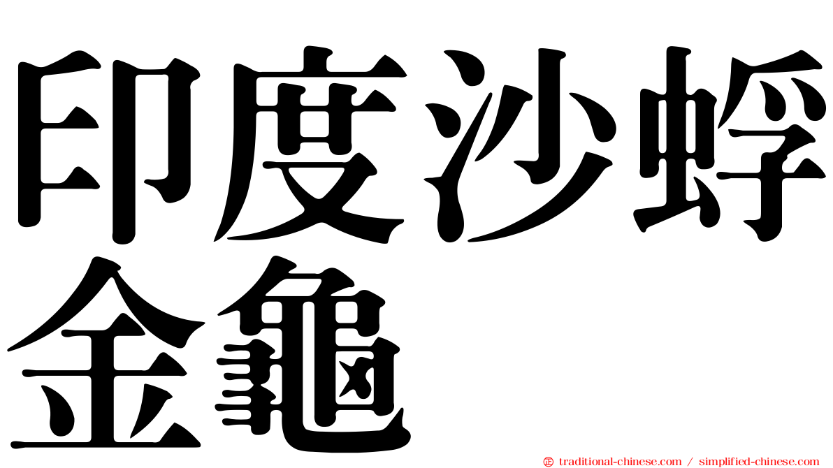 印度沙蜉金龜