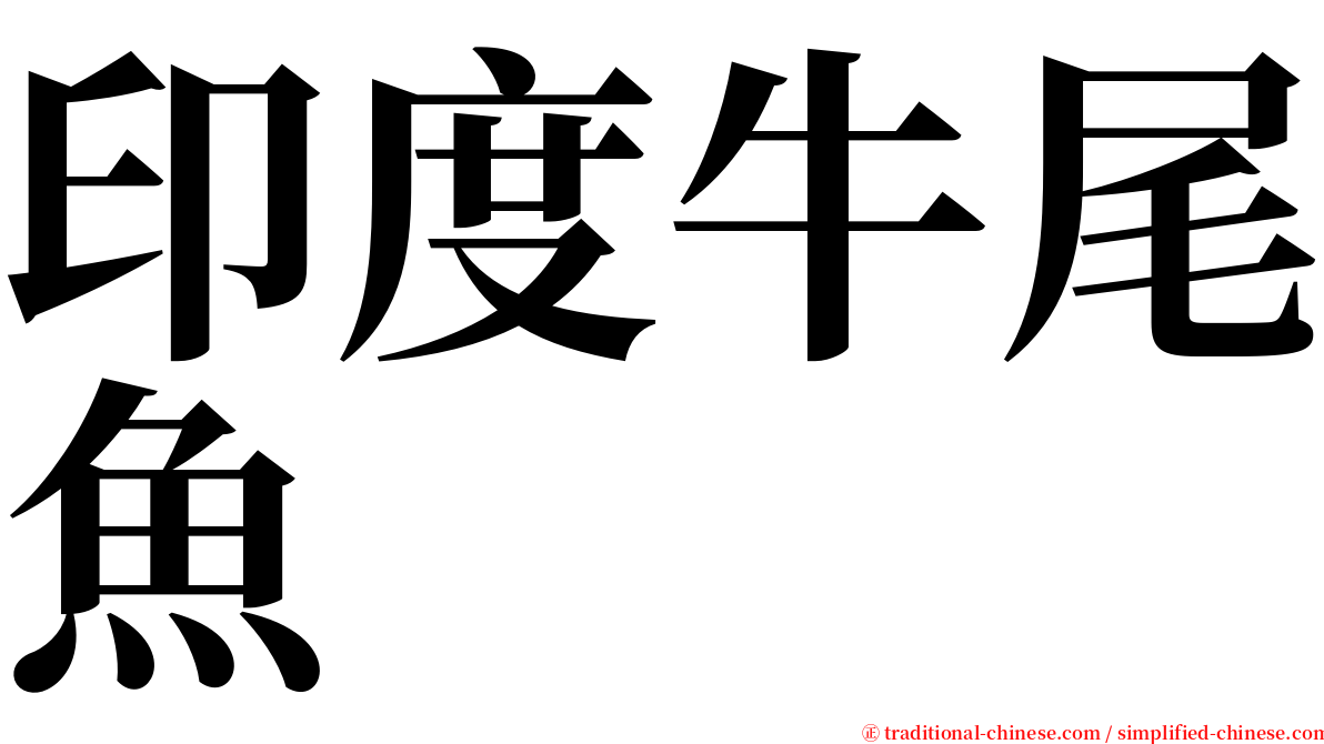印度牛尾魚 serif font