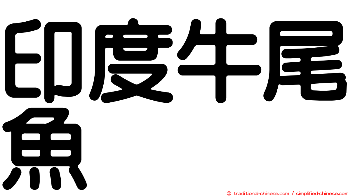 印度牛尾魚