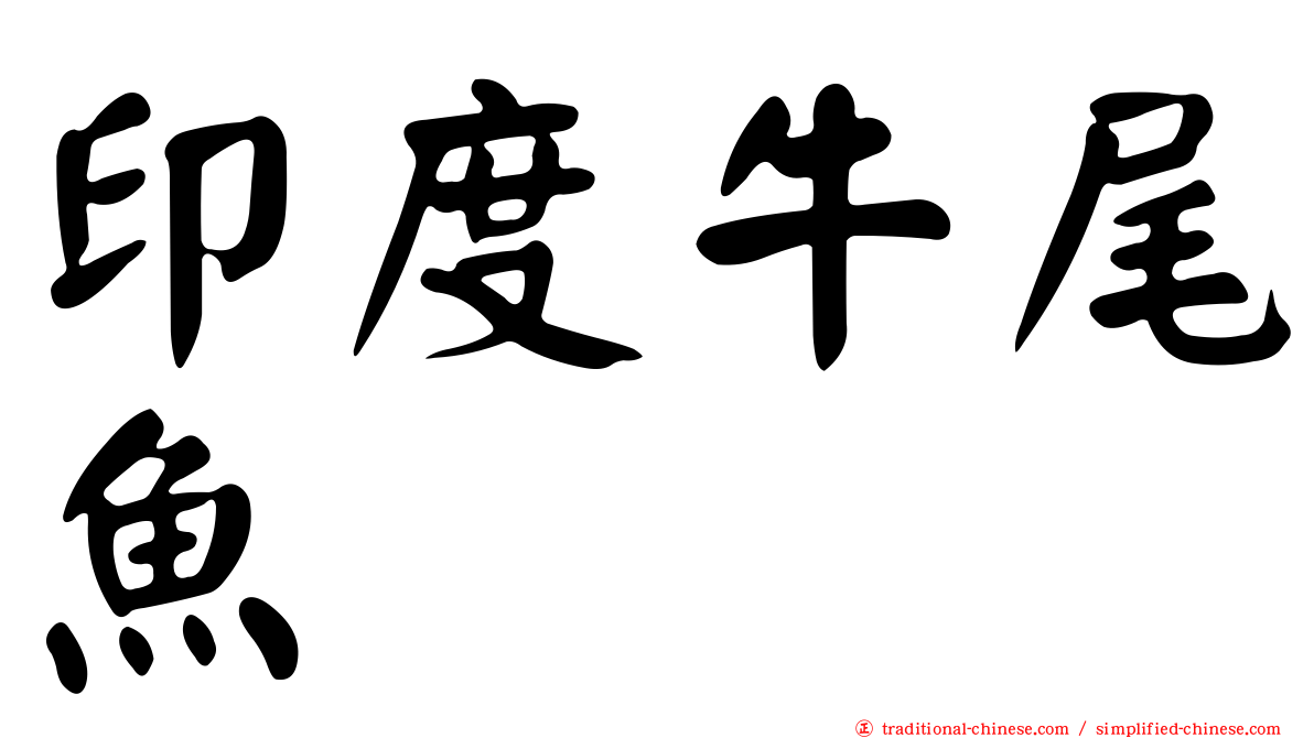 印度牛尾魚