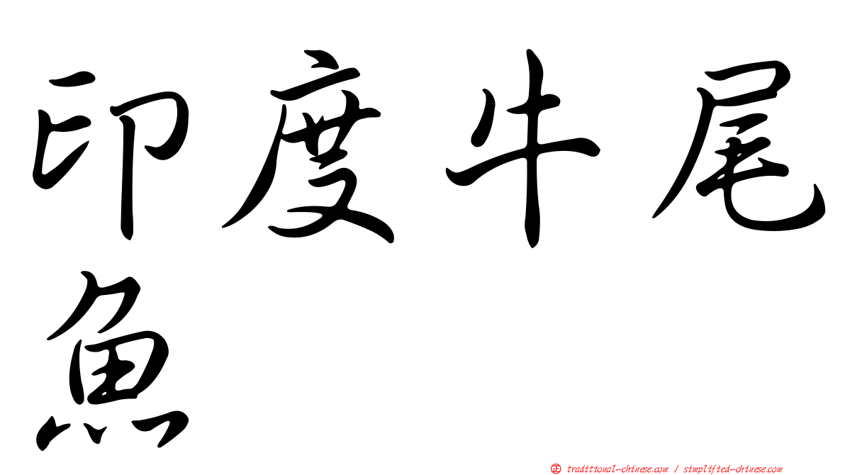 印度牛尾魚