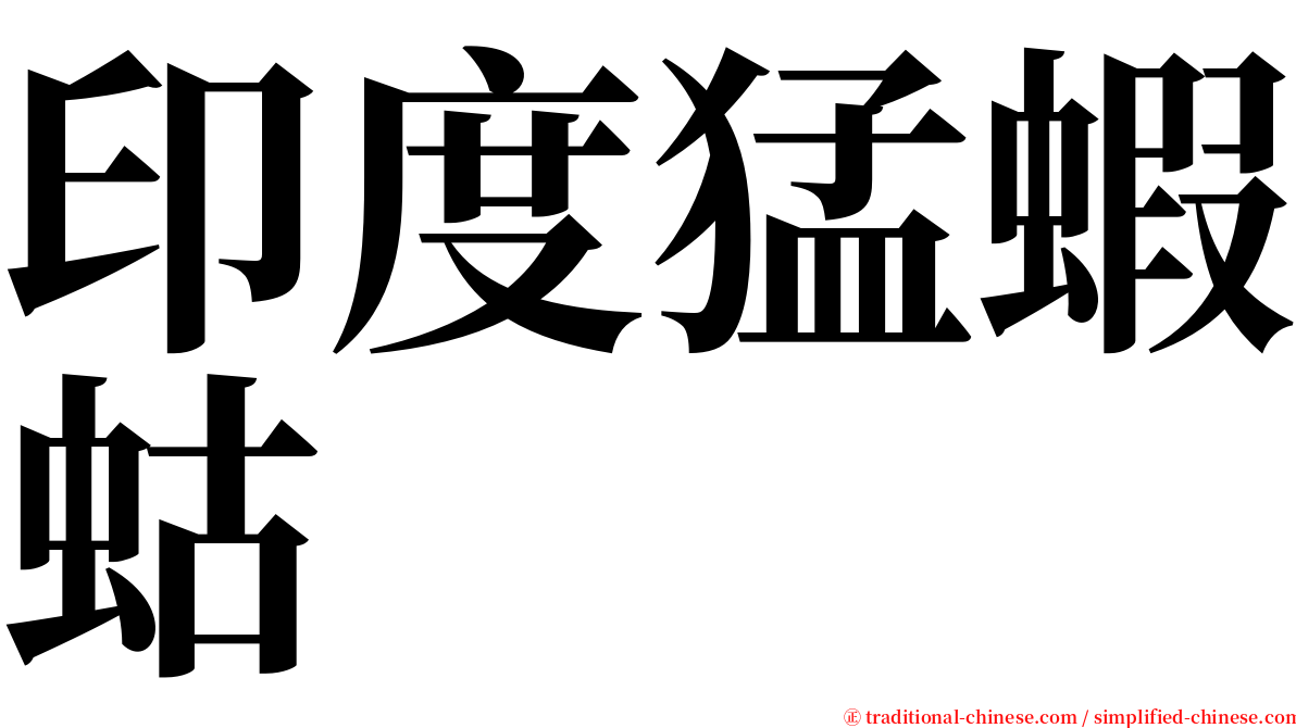 印度猛蝦蛄 serif font
