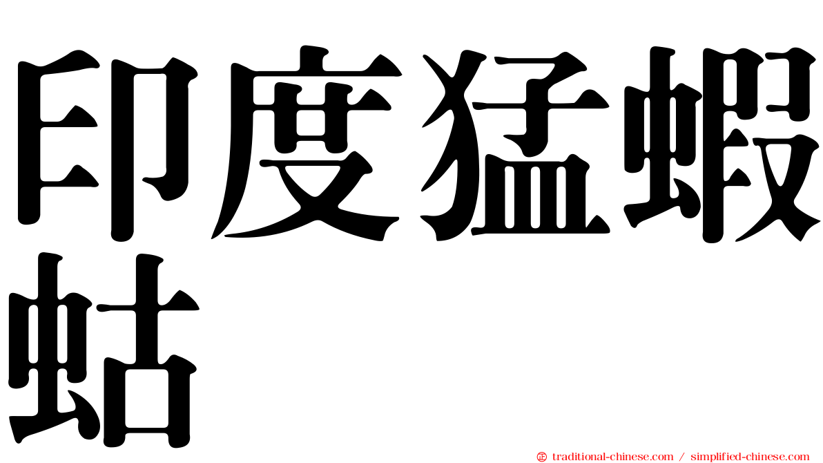 印度猛蝦蛄