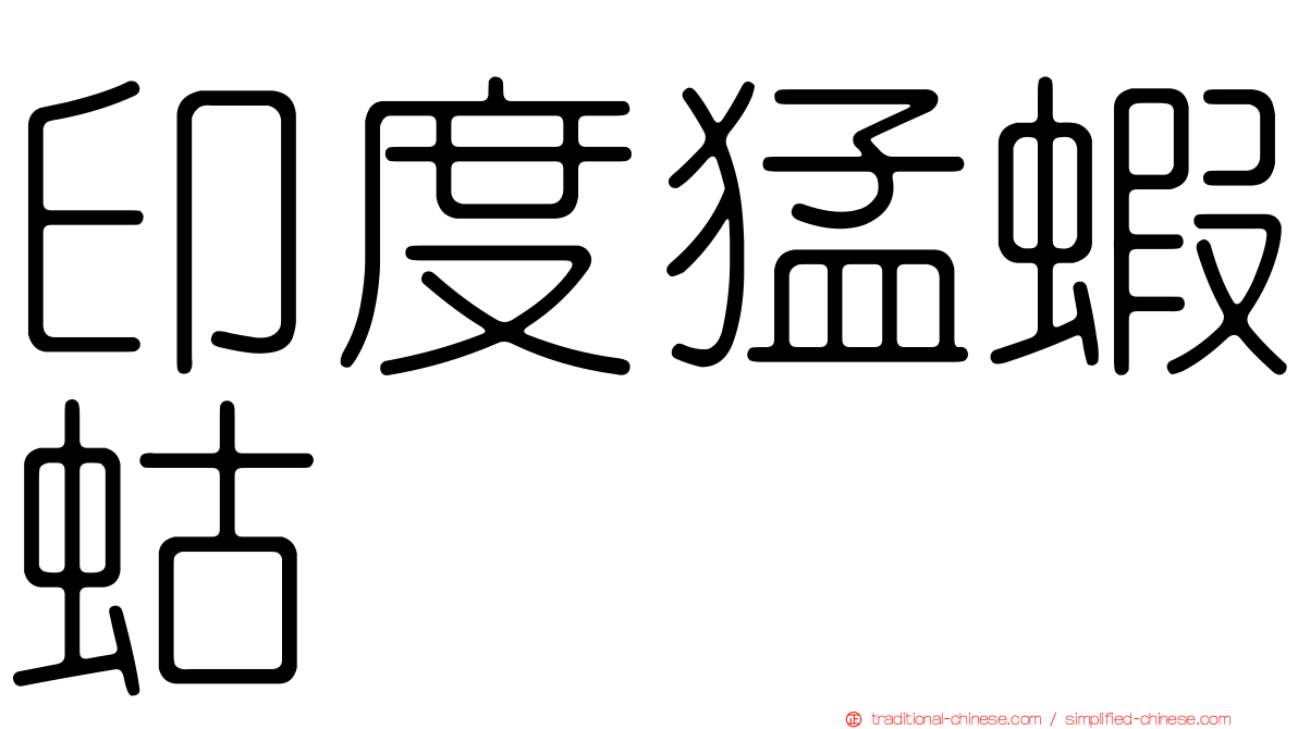 印度猛蝦蛄
