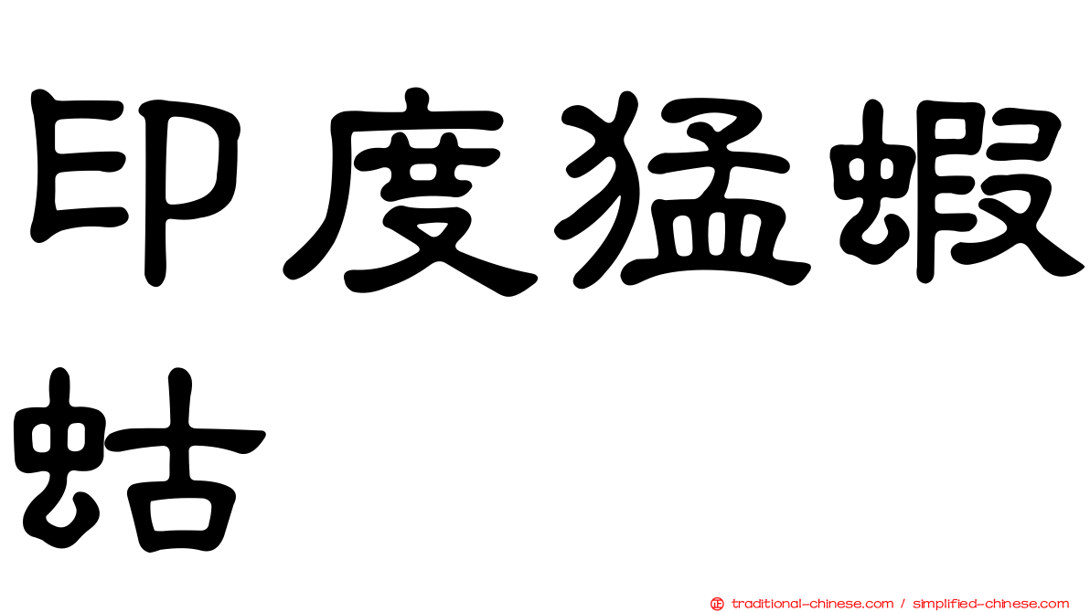 印度猛蝦蛄