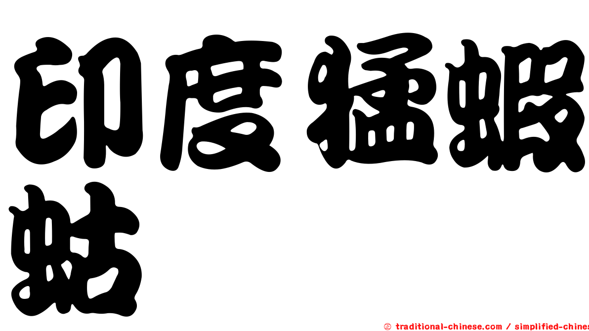 印度猛蝦蛄